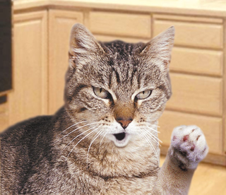 The animated TV cat instructs its owner to "talk to the paw."